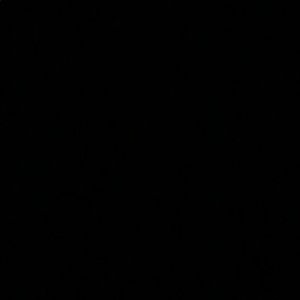 Meet your Posher, Camille